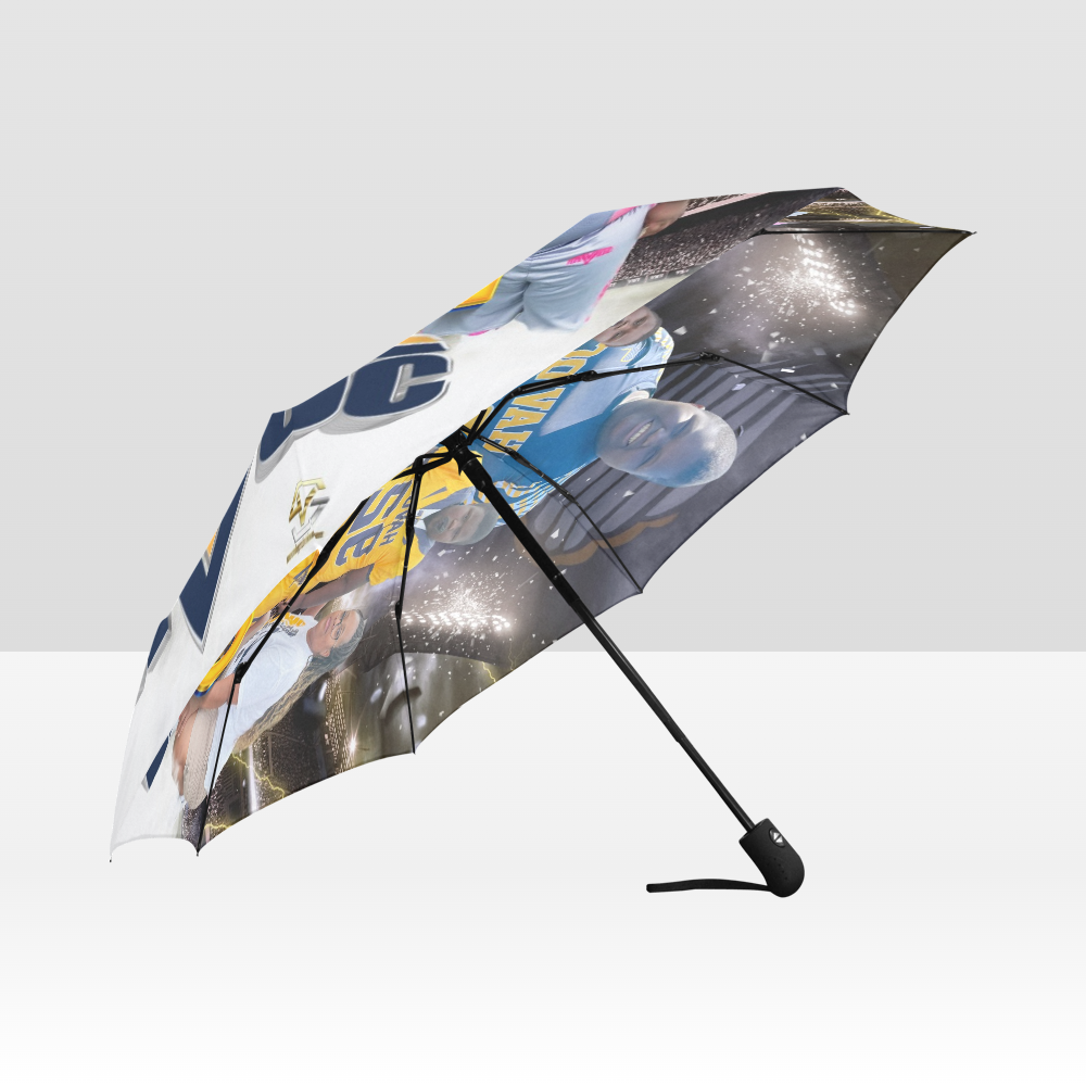 Custom Umbrella